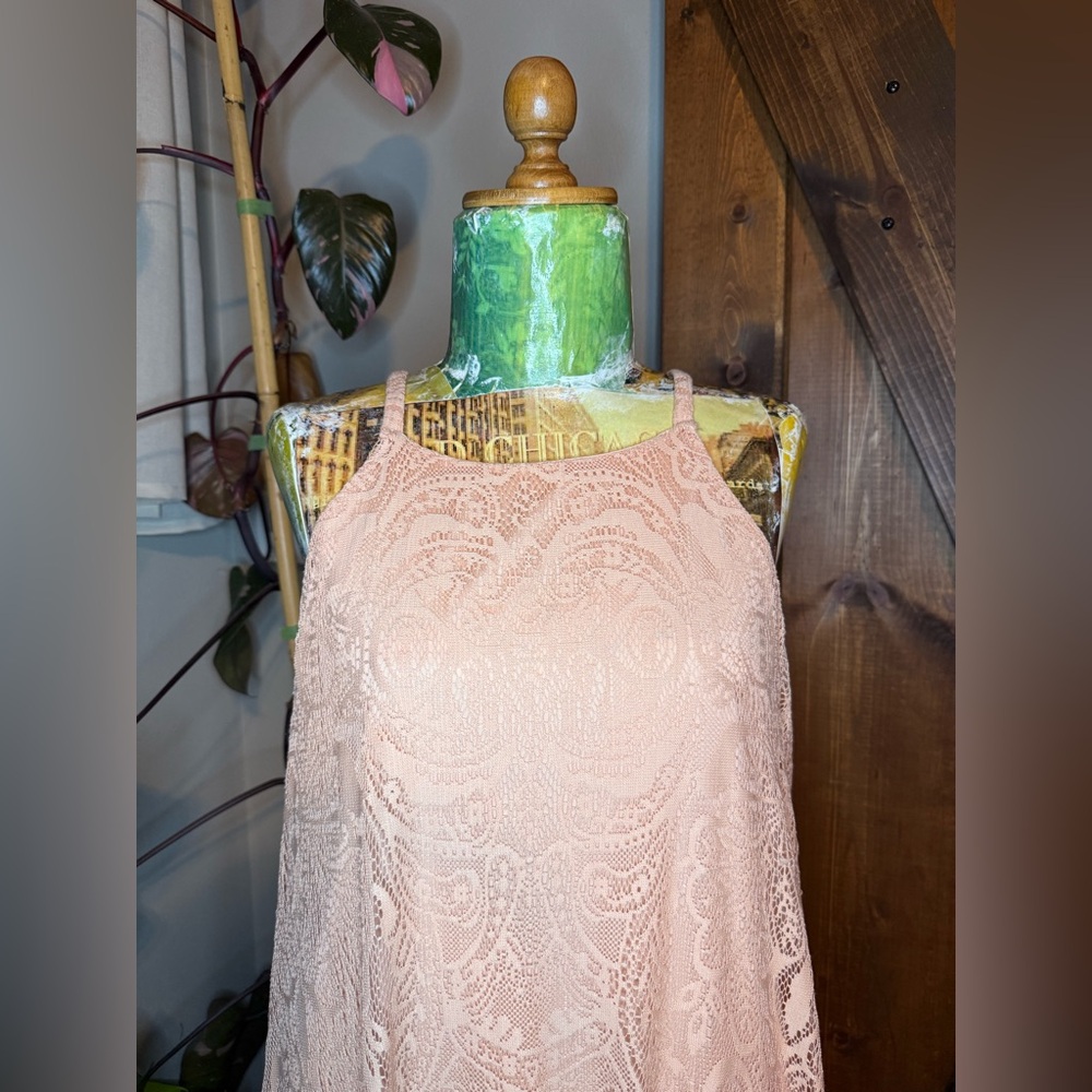 Luxology Peach Lace Dress - Picture 3 of 4